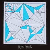 Neon Fauna, No. 2