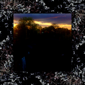 Natural Selections: Hominid Lists