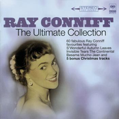 Invisible Tears by Ray Conniff