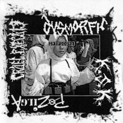 k.s.k. / pozilga / cruel execute / dysmorfic