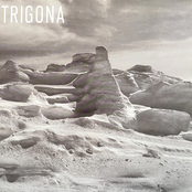 Trigona