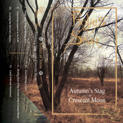 Autumn's Stag and the Crescent Moon