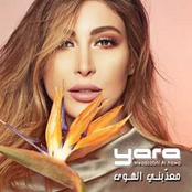 معذبني الهوى