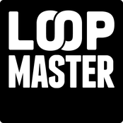 loopmaster luke