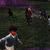 what the rain doesn't know