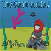 Holographic Snow by The Campanulas