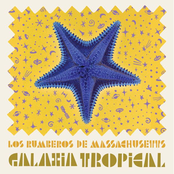 Galaxia Tropical