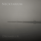 Fogdance Blue by Necktarium
