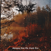 Swinging From The Family Tree