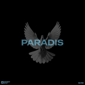 Blynk: Paradis