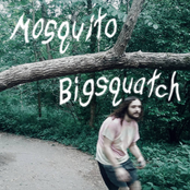 Bigsquatch