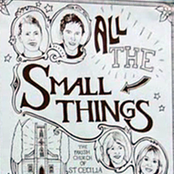 all the small things