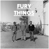 Fury Things
