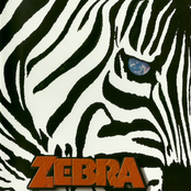 My Life Has Changed by Zebra