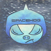 Spacehog: Was It Likely?