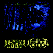 Within The Dead Woods of the Black Doom (Split with The Crowned Virgin)
