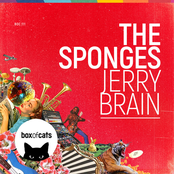 The Sponges: Jerry Brain