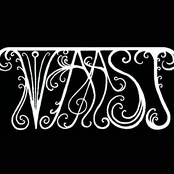 s/t 2011