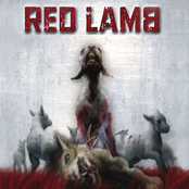 Keep Pushing Me by Red Lamb