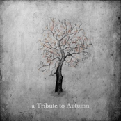 A tribute to Autumn