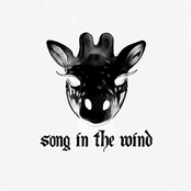 Song in the Wind