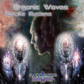 Erratic Illusions EP