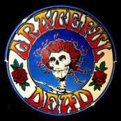 I'm A Hog For You by Grateful Dead