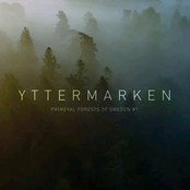 Primeval Forests of Sweden #1