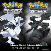 Pokémon Black and White