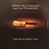 The Truth About Love (Vinyl)