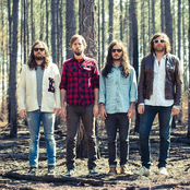 j roddy walston and the business