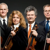 kodály quartet