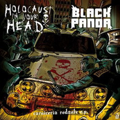 Holocaust in your head & Black panda split