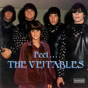 Feel The Music by The Vejtables