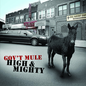 Mr. High & Mighty by Gov't Mule