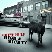 Like Flies by Gov't Mule