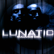 Hlm 3 by Lunatic