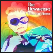 The Flowmeters Debut
