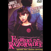 Flowers on the Razorwire: Chance Meeting