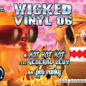 Wicked Vinyl 06
