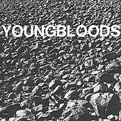 Faster All The Time by The Youngbloods