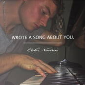 Wrote a Song About You.