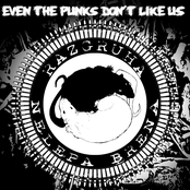 Even The Punks Don't Like Us
