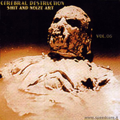 Shit And Noize Art Vol. 06