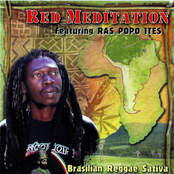 Brasilian Reggae Sativa