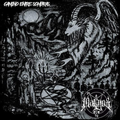 Camino Entre Sombras