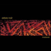 Welcome by Arbre Noir