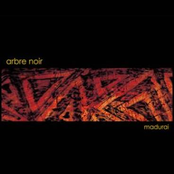 Surface by Arbre Noir