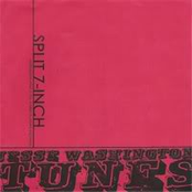 Tunes For Bears To Dance To/Jesse Washington Split
