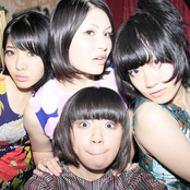 Otoboke Beaver